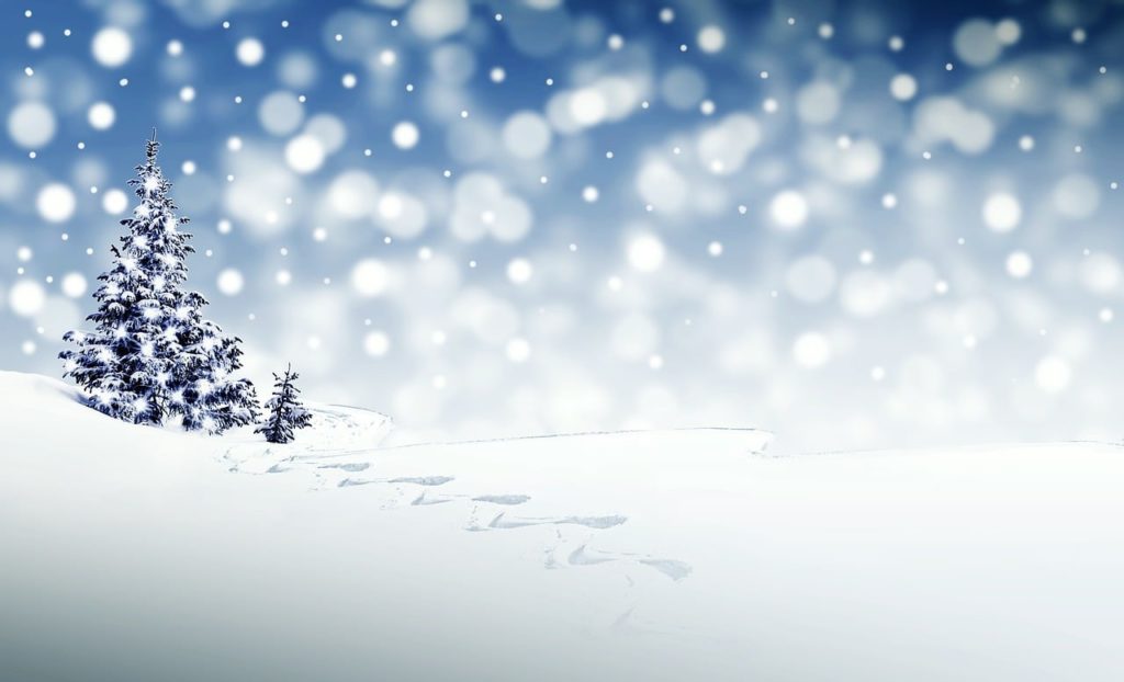 christmas, winter, season-3864552.jpg